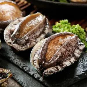 완도활전복 특특대 9~10미 1kg