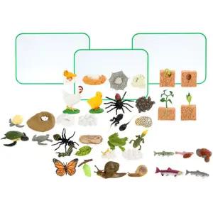 돌봄교실 한살이 식물 동물모형 관찰교구 풀세트 교육장난감 남아선물 5살 유치원