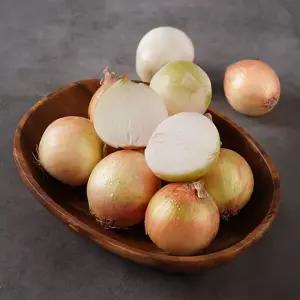 경남 밀양 햇양파 1kg(왕특/200g이상)