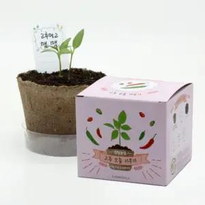 뚝딱 틔움 팜팜농장 고추 모종키우기/씨앗/꽃/키트/화분/싹틔우기/나만의/정원/이름/꾸미기/심기/가꾸기