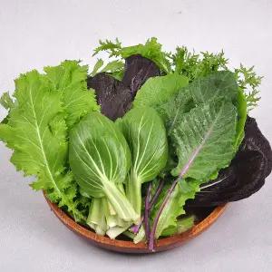 순창발송 친환경 유기농 모듬 쌈채소 800g