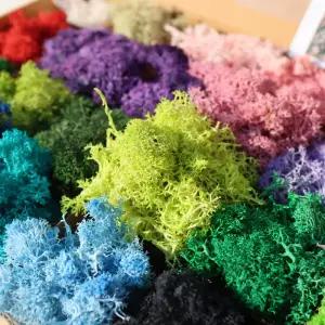 키득키득 스텔라 모스이끼 종합 32색 세트 500g