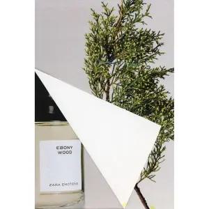 ZARA EBONY WOOD 오드 퍼퓸 100ML (3.4 FL.OZ)