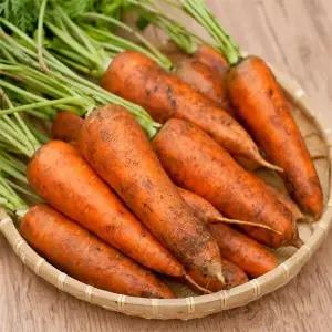 [자연맛남]국내산 흙 당근 1kg(상/200g내외)