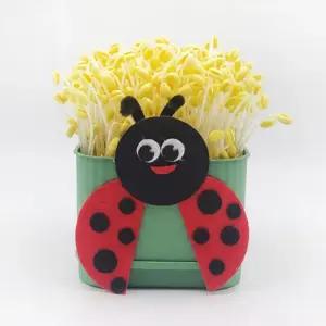 글로벌이지 뚝딱 콩나물 키우기 키트 사각시루