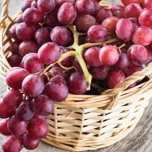 씨없는 레드 크림슨 포도 2kg 크림슨 적포도 씨없는포도 껍질째먹는포도 씨없는적포도 시들리스포도