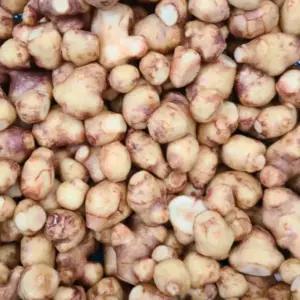 국산 26년수확 햇 토종 자색 생돼지감자 세척 돼지감자 3kg