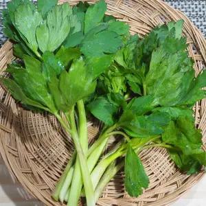 국내산 여수 금오도 노지 방풍나물 2kg