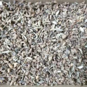 웰빙미래 국산 햇 건 꼴뚜기소 마른꼴뚜기 500g 볶음용 밑반찬 술안주