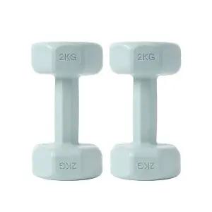 컬러 육각 바디필 2개세트(2kg) 덤벨 (블루) 아령