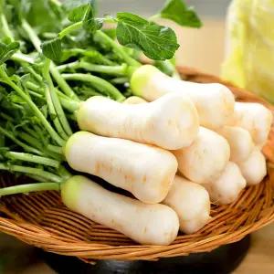 싱싱한 세척 절임 알타리무 총각무 초롱무 (3kg)