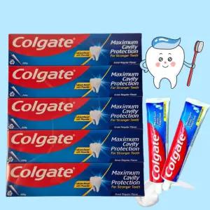 코스트코 콜게이트 치약 250gx5개입 고불소 그레이트 레귤러 잇몸재생 입냄새제거