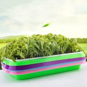 새싹재배기 무순 씨앗 보리새싹 키우는 용기 랜덤 새싹재배기 새싹키우기