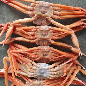 후포리 상급 박달홍게 자숙 4kg 8-10미