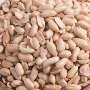 강일건어물 조미깐땅콩 비너츠 1kg 수입