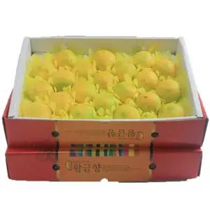 제주 로얄과 황금향 3KG 선물용 22수내 ? 황금향 레드향 한라봉 귤