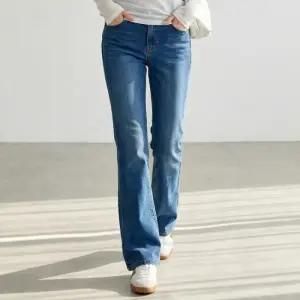 포커스 HC24 부츠컷 워싱 데님 밴딩 팬츠  FS6B3PT3121