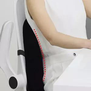 의자 메쉬 허리 쿠션 등받이 허리받침 척추/받침/등쿠션/사무실/학생/등받침/보호/공부/받침대/요추/사무용