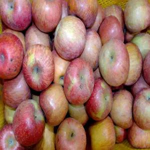 주왕산 털보네하늘사과 갈아먹능금 9kg내외 쥬스용 흠과 8kg 부사 골드 혼합