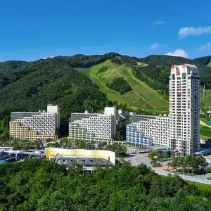 [숙박페스타][휘닉스파크 평창] 액티비티3종&패밀리 호캉스 PKG+특전(4/14~6/30투숙까지)