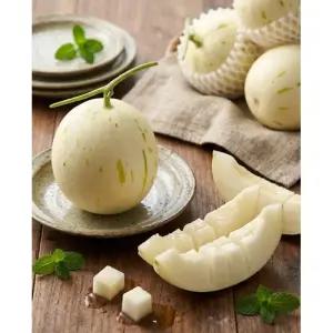 동명 참외닮은 함안 가야 백자 멜론