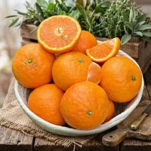 제주 카라향 소과 10kg(75-110과) 한입 귤 꼬마 고당도