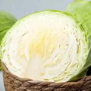 프레시 아삭하고 달콤한 국내산 양배추 1통