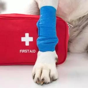 반려동물 응급처치 기능성 자가부착 붕대 RC1079 1P
