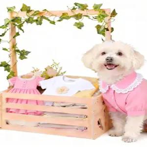 갈랜드가 있는 HDUYFYD 나무 개 옷장 애완동물 상자 고양이 장난감 옷 액세서리를 위한 간편한 조립