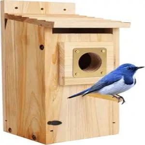 구리 가드가 있는 외부용 새집 두꺼운 나무 블루버드 하우스 클리어런스 가든 컨트리 코티지 핀치 스왈로우