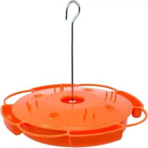 송버드 에센셜 얼티밋 오리올 피더 32온스 오렌지 꿀 젤리 하프 4개 내장 개미 해자 포함