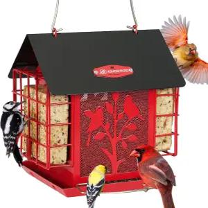 야외용 킹야드 금속 새 모이통 더블 스위트 케이지가 있는 야생 내후성 지붕 3파운드의 대형 종자 용량