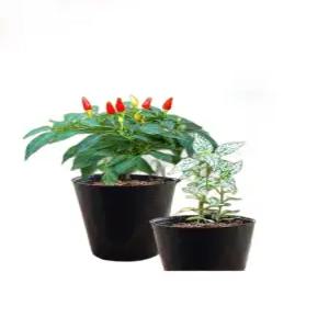 500개 6) 높이 컵 봉지 6.5x6.5(구경 6 비닐 대형 원형 포트 모종 화분 일회용