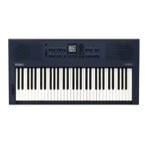 Roland GOKEYS3 61건반 신디사이저 스피커내장 키보드 메이플시티