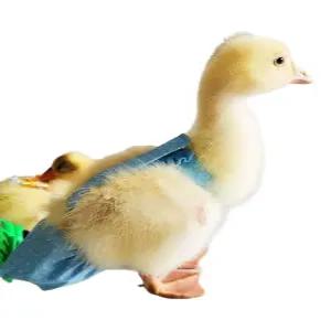 닭 오리 기저귀 배변 패드 병아리 애완 가금류 위생 용품