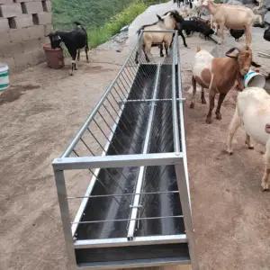 염소먹이통 사료통 밥통 건초 축사 목장 가축 여물통 농장 송아지(1) 모이