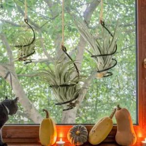 금속 걸이식 틸란시아 컨테이너 소용돌이 공기 공장 거치대 발코니 정원 스탠드 집 장식 6 개