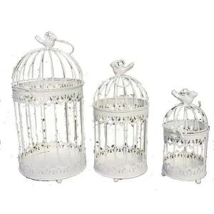 전원 철제 새장 라인 화이트 아메리칸 버드케이지 장식 삼다육 화분 커버