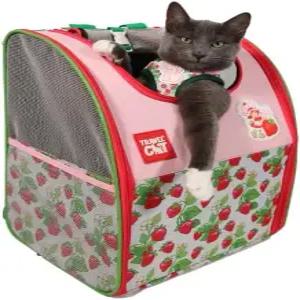 딸기 쇼트케이크 x 여행용 고양이 백팩 완전히 환기되는 메쉬가 있는 공식 라이선스 컨버터블 반려동물