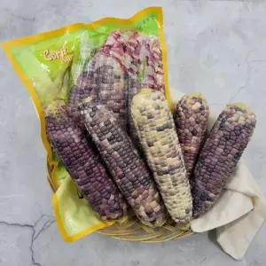 곡성 찐냉동 흑찰옥수수 21개 (3개입x7팩)