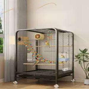 앵무새장 앵무새집 앵무새이동장 놀이터 대형새장 하우스 새 잉꼬 가정용 횃대 화이트 날림장