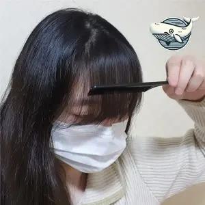 헤어 스타일링 도구 세트 그루밍 전용 헤어 빗