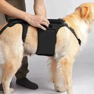 강아지 청멜빵 바지 옷 올인원웨어 데님 산책 대형견 중형견 패션 점프수트