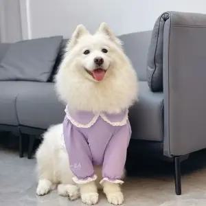 프리독 대형견옷 중형견옷 사모예드 여아옷 골든 겨울 옷 여름 리트리버 관