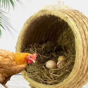 닭산란통 둥지 닭알 볏짚 산란장 은신처 바구니 야외 계란 닭 암탉 알낳는집 방수