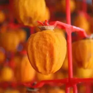 가정용 반건시 곶감 800g 1팩