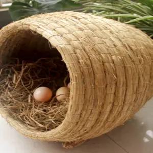 닭산란통 밀짚 알낳는곳 둥지 닭집 산란장 닭용품