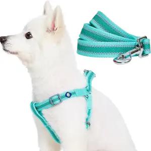 블루베리 펫 에센셜은 반려견 하네스와 목줄 세트 민트 그린 소형견용 5피트 달린 조절 가능한 기본으로