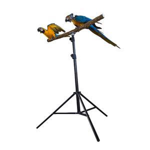 스틱 단단한 야외 접이식 씹는 놀이터 애완 스프링 나무 천연 스탠드 케 지점