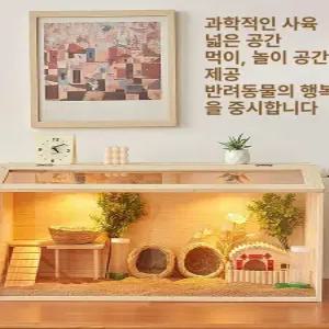 메추리 키우기 병아리 분양 달걀 육추기 만들기 자동